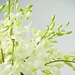 White Orchid Bouquet | Fresh White Dendrobium Orchids Delivery NYC