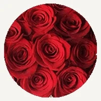 Red arrangement by SweetPetals