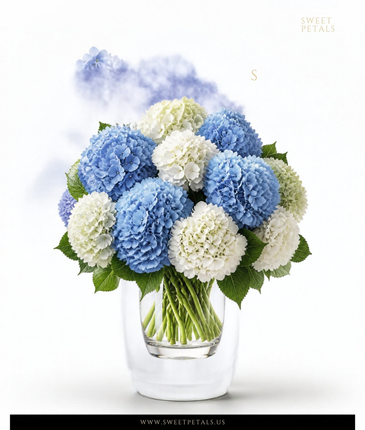 Fresh hydrangea delivery Brooklyn NYC - SweetPetals