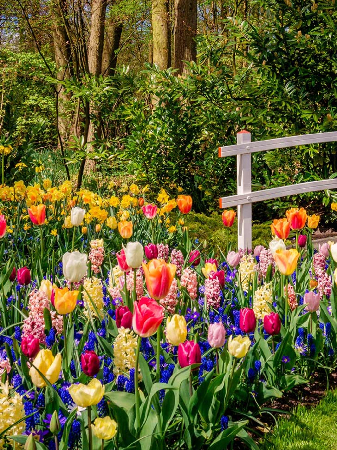 Everyday & Seasonal Collection