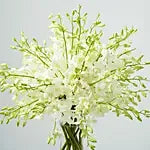 White Orchid Bouquet | Fresh White Dendrobium Orchids Delivery NYC