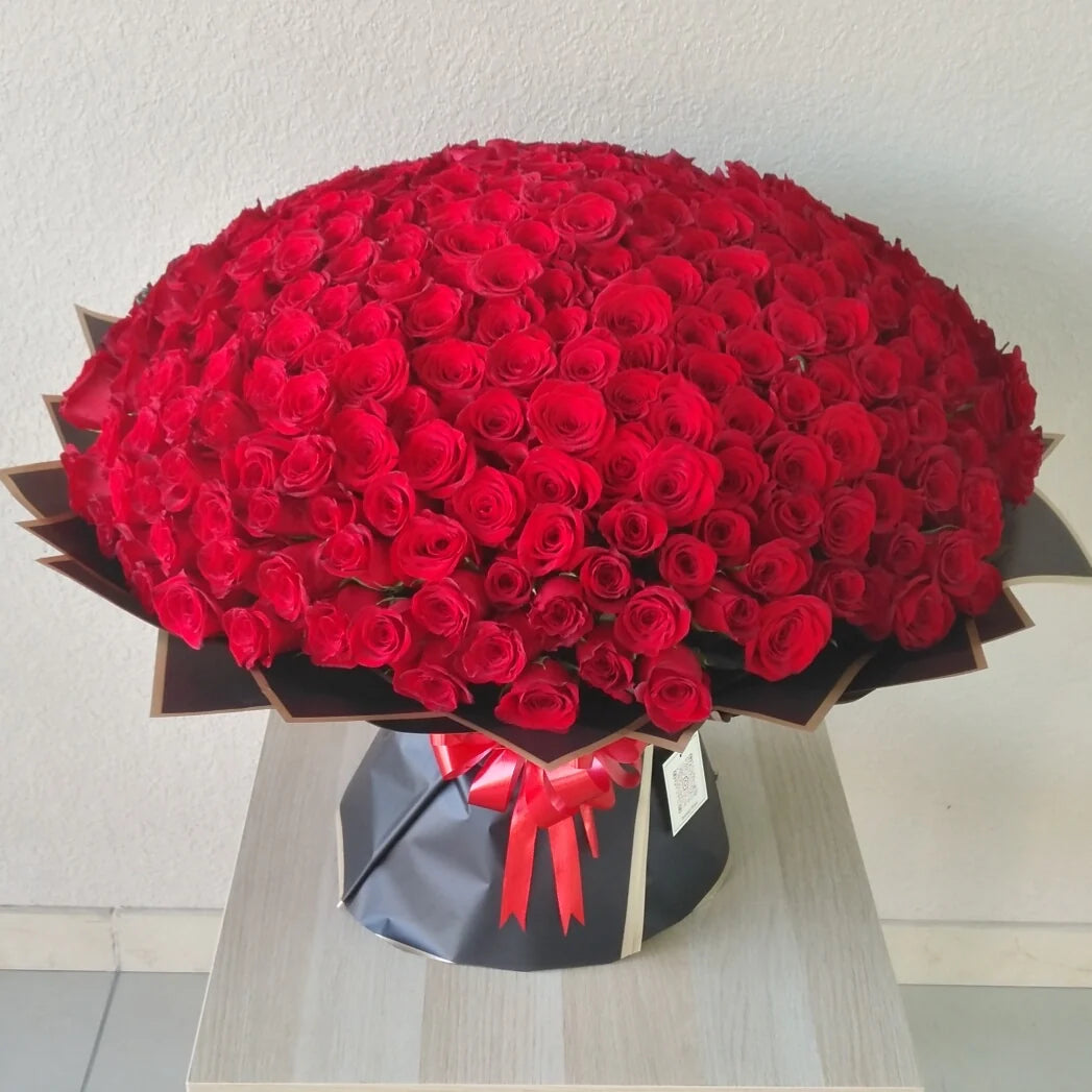 300 Red Roses – Love Without Limits