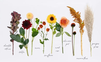 Autumn harvest luxury bouquet flat lay featuring chocolate cotinus dahlia sunflower peach moab rose mum echinacea pod amaranthus and pampas grass on white background – SweetPetals premium fall flower birthday anniversary gift New York